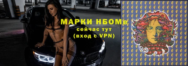 СК Богородск