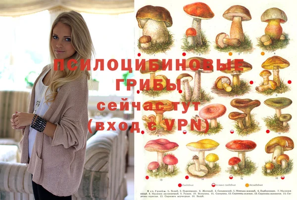 apvp Богданович