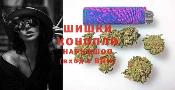 СК Богородск