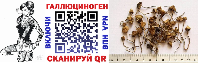 купить наркотик  Коркино  Псилоцибиновые грибы ЛСД 